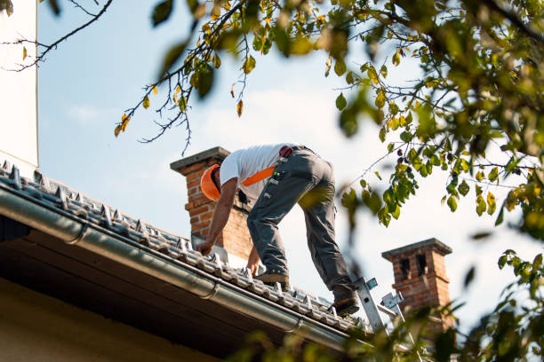 Professional Roofing Contractor in Beverly Hills, TX